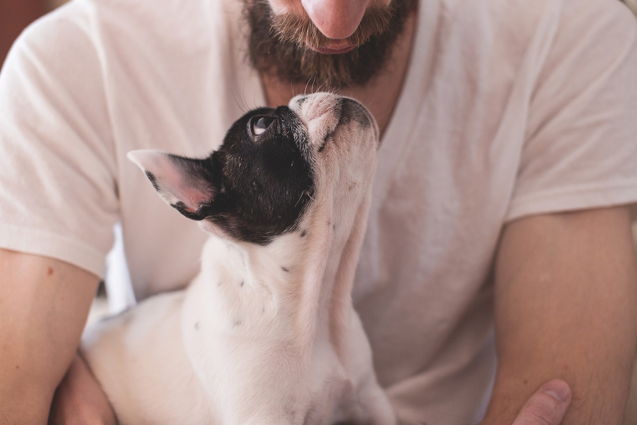 You are currently viewing Technische Geräte für das Leben mit Hund