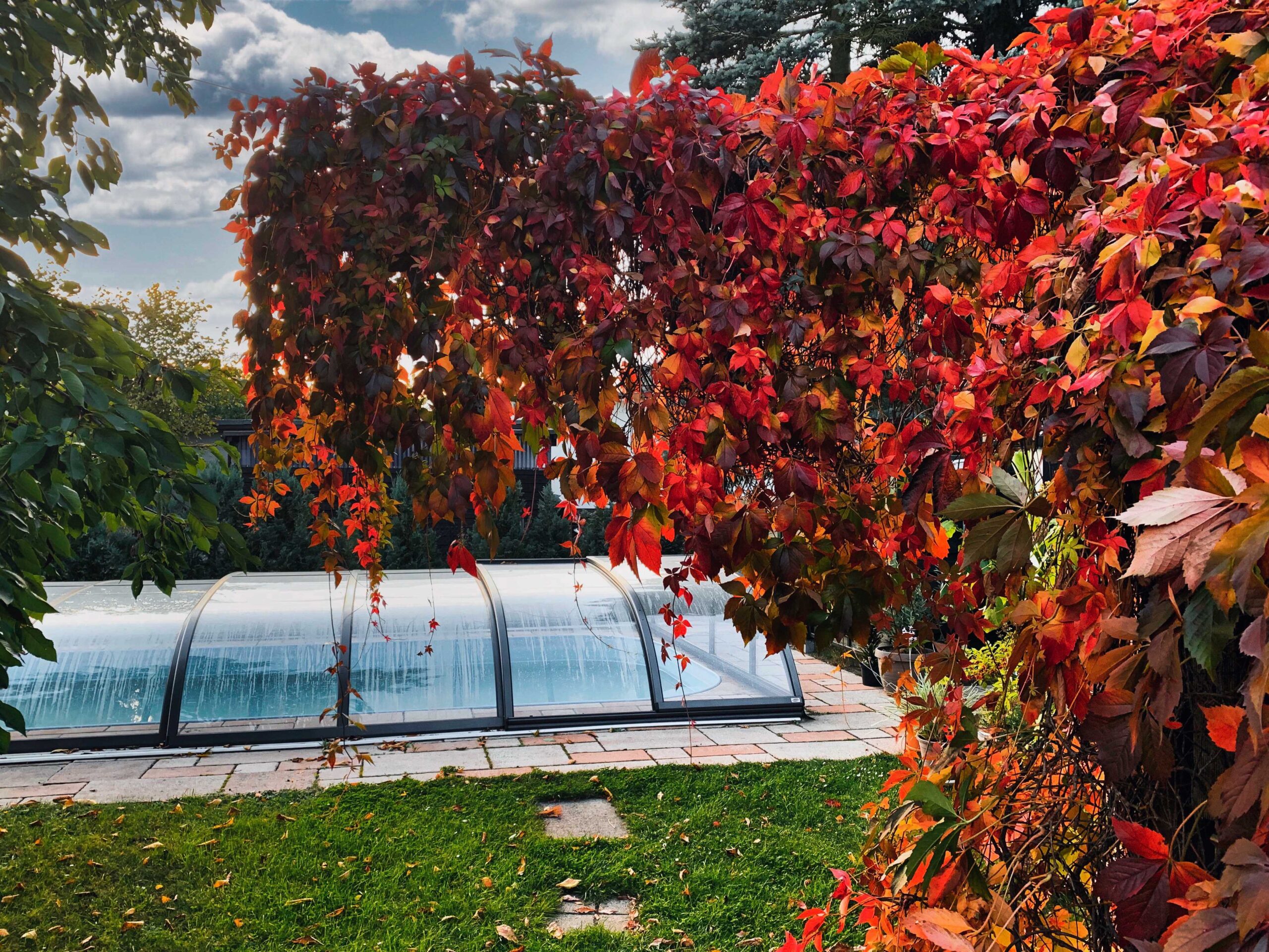 Read more about the article Von der Planung bis zur Wartung: So verwirklichen Sie Ihren eigenen Pool im Garten