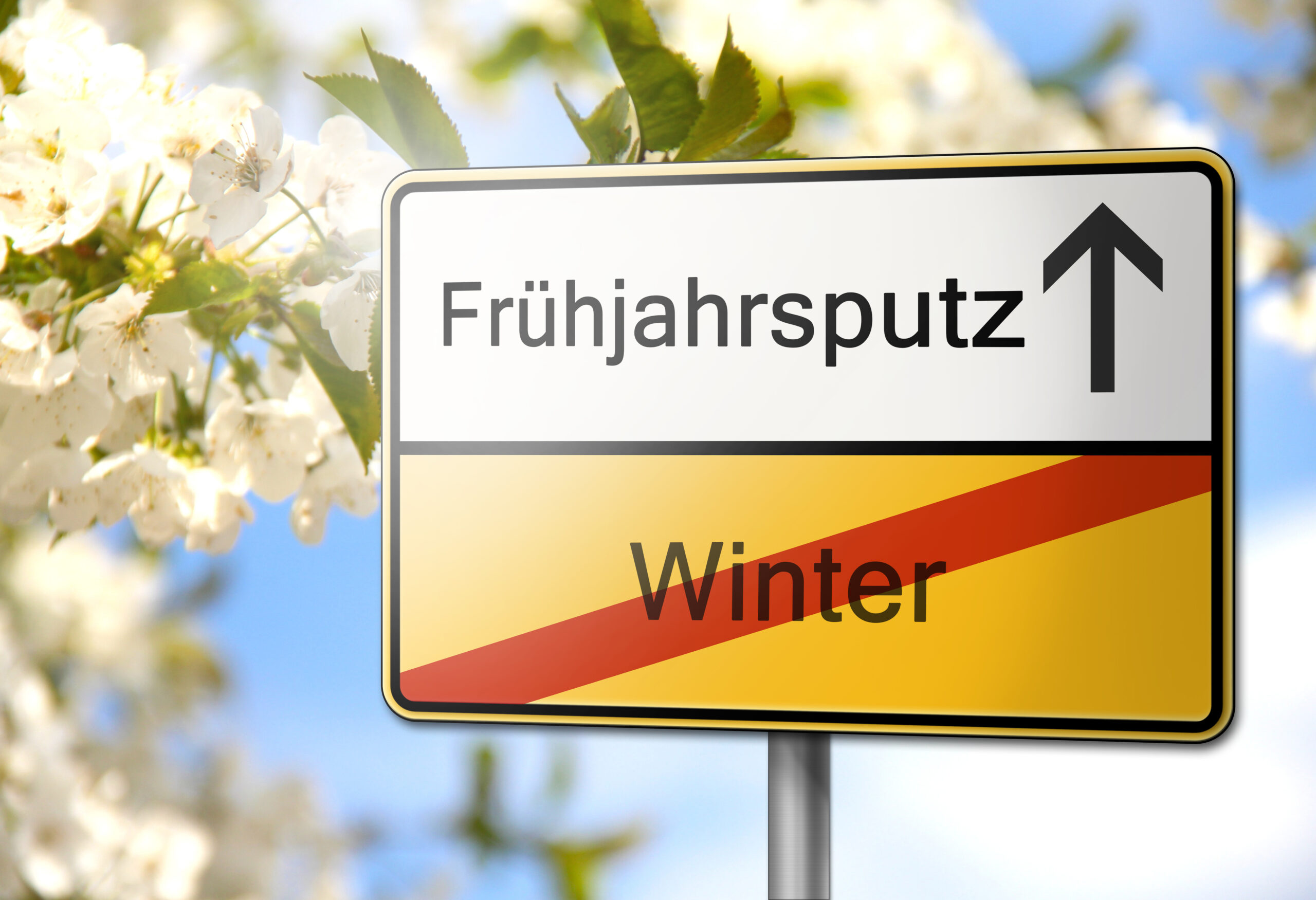 Read more about the article Zeit für Neues: Frühjahrsputz in Wuppertal